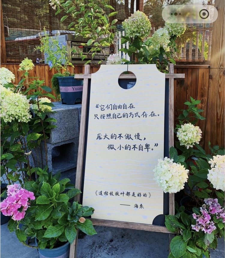 门店实景